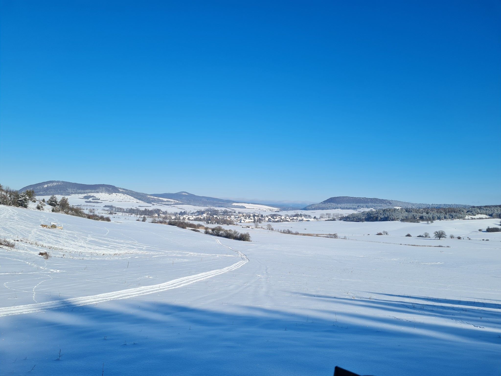 Winter