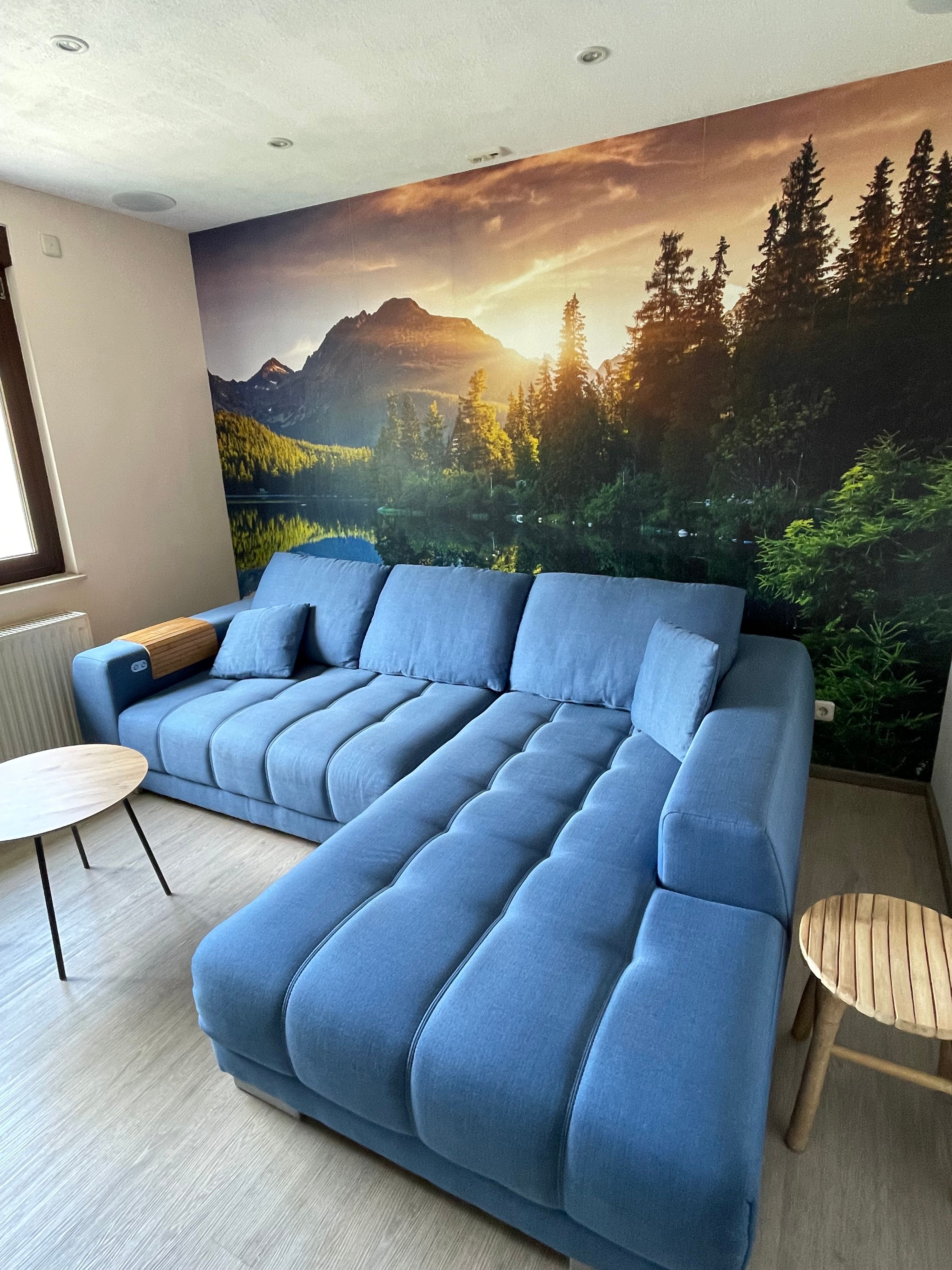 Wohnzimmer Couch