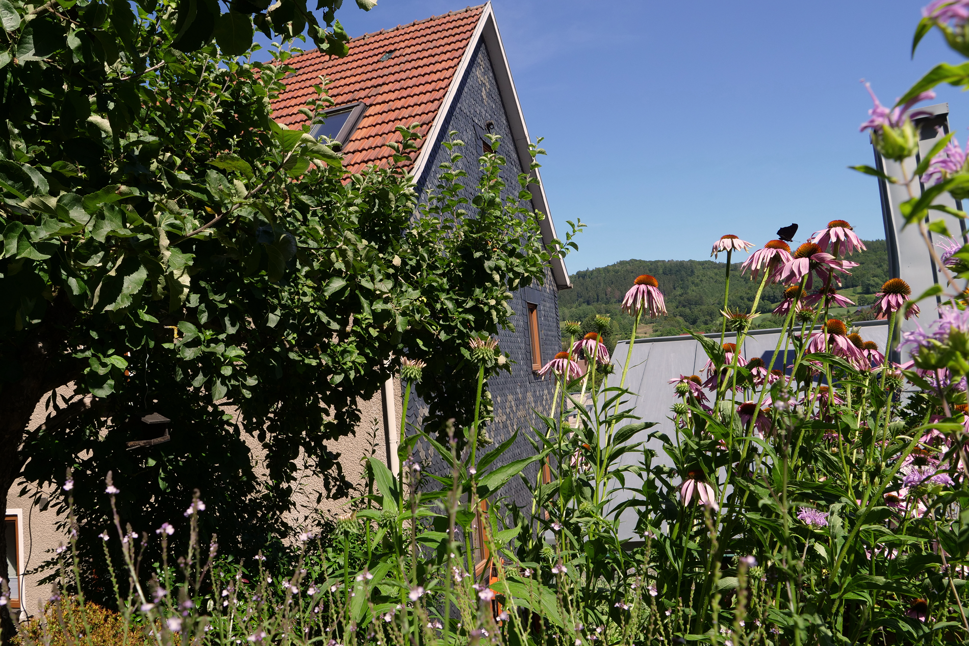 Hausansicht