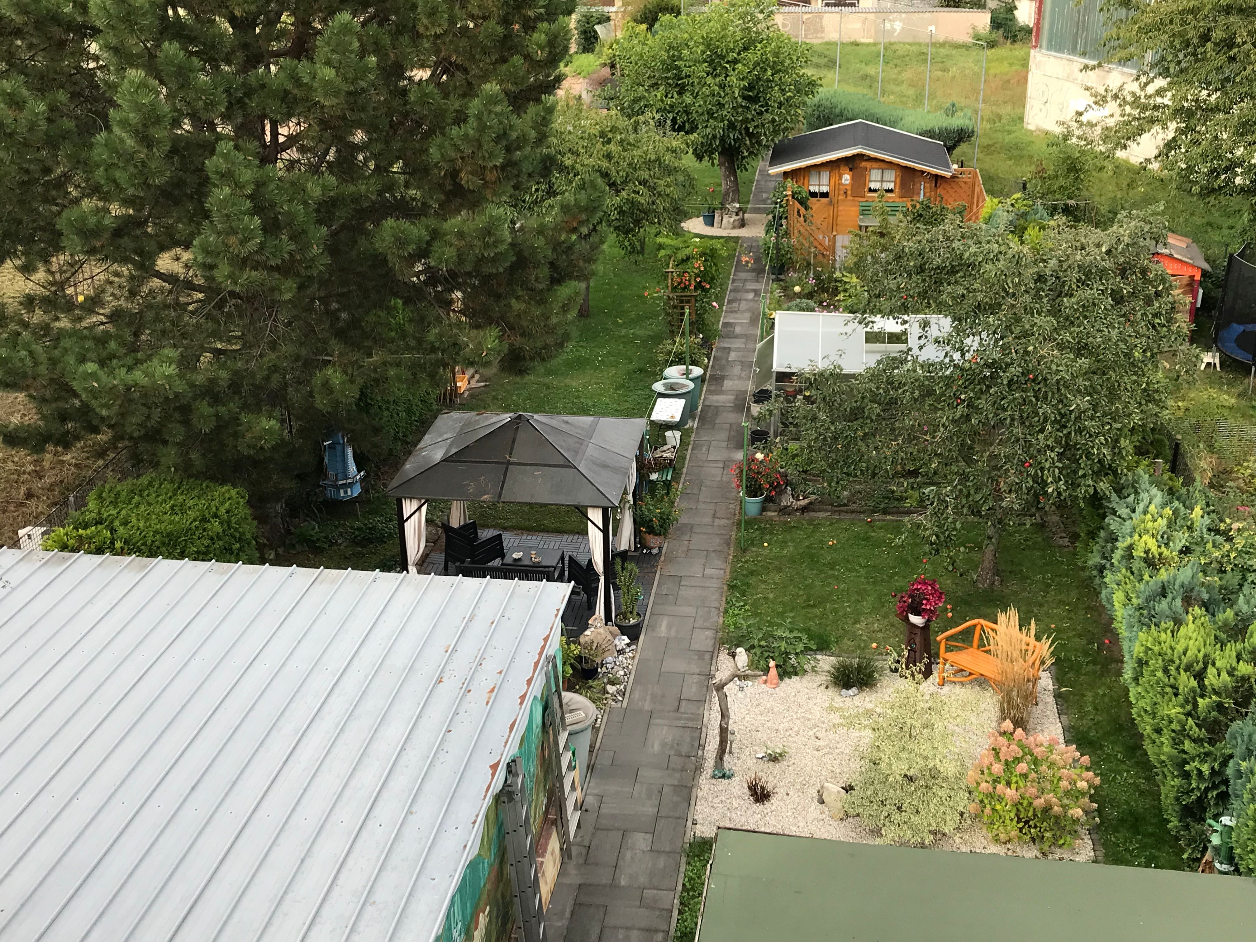 Ausblick zum Garten