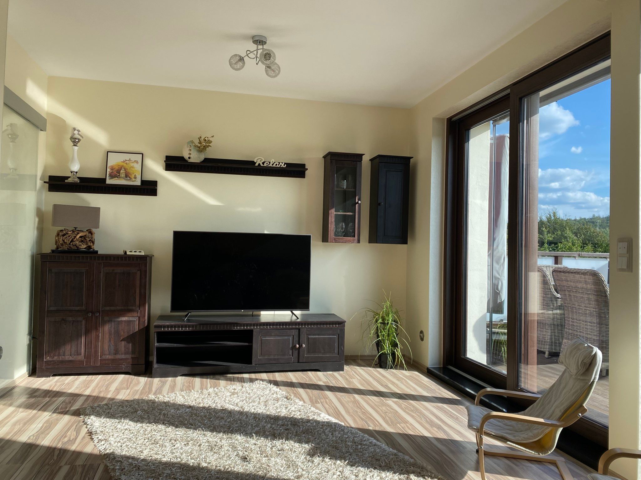 TV