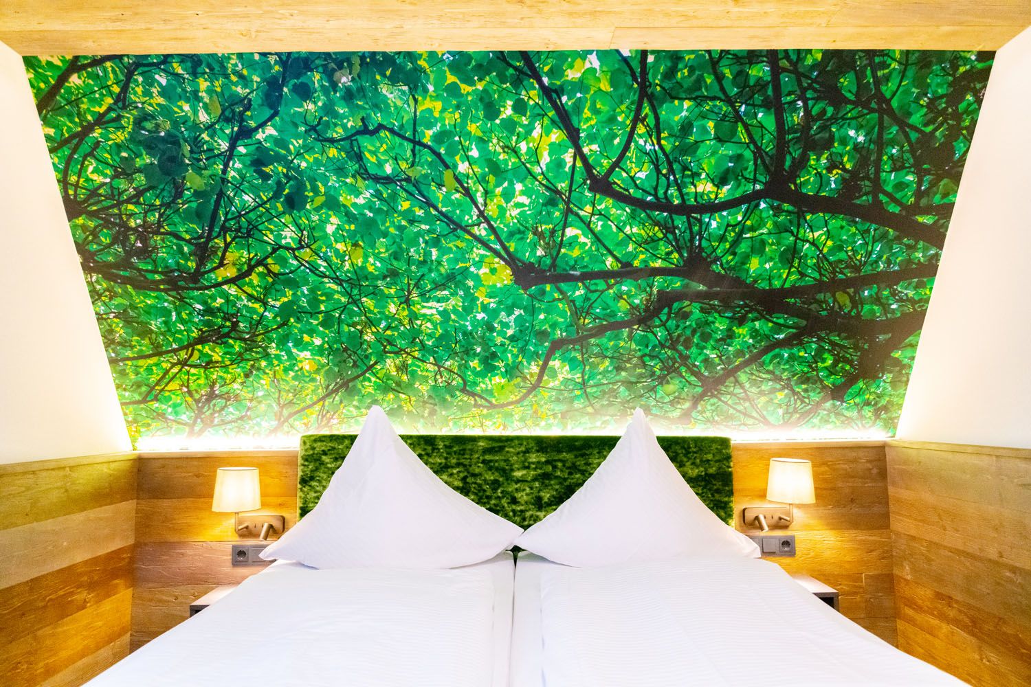 Doppelzimmer Natur (317)