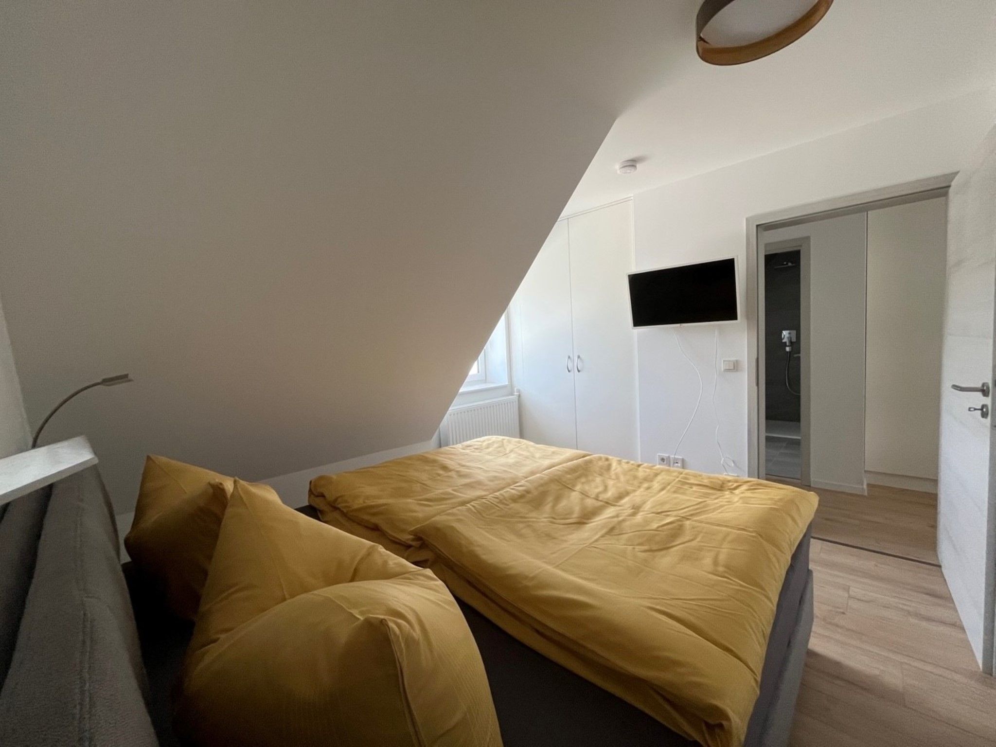 Sclafzimmer, TV