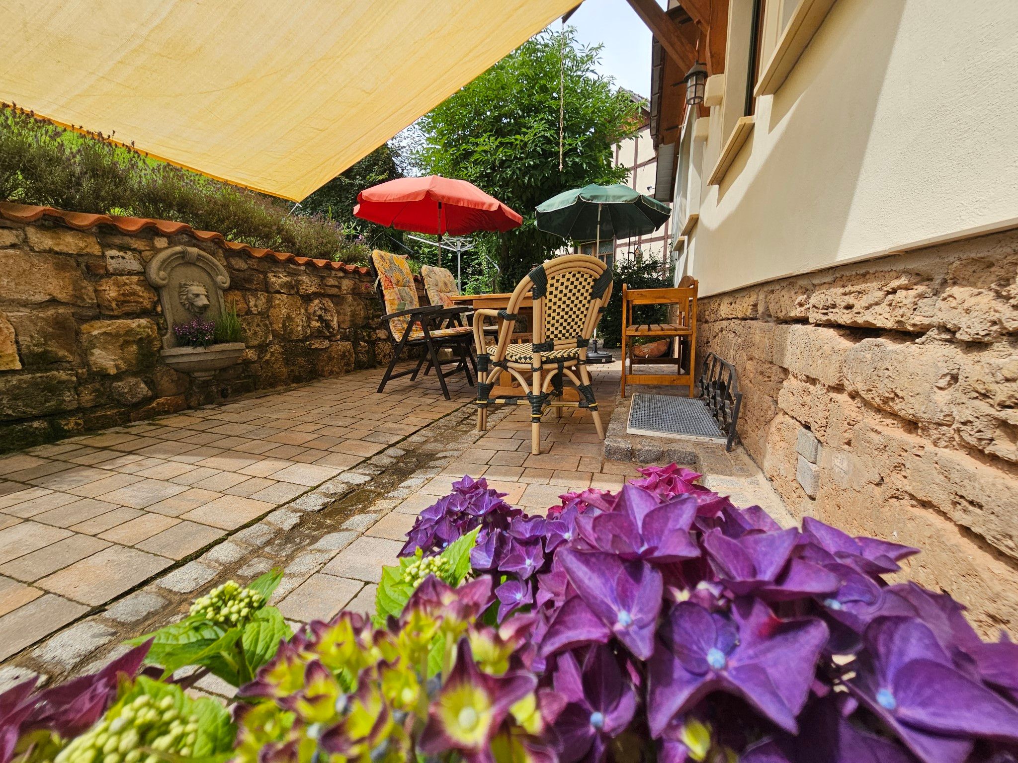 Terrasse FW 1
