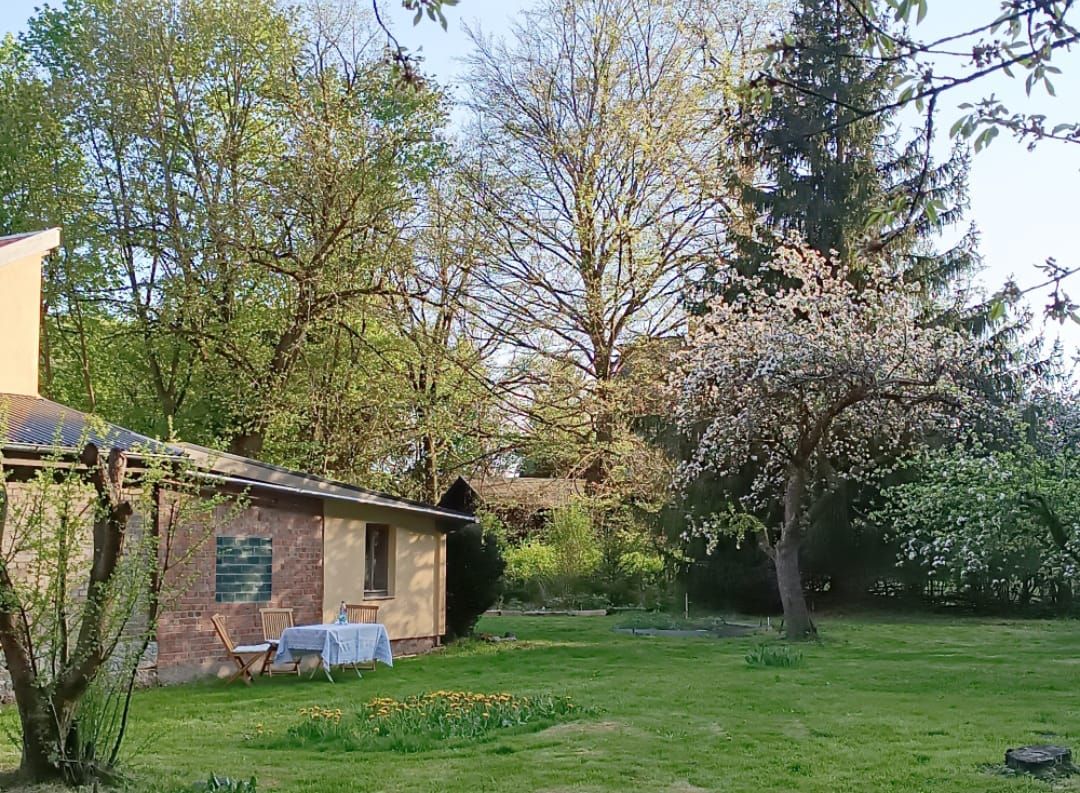 Garten im Frühling