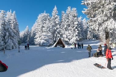 Schnee