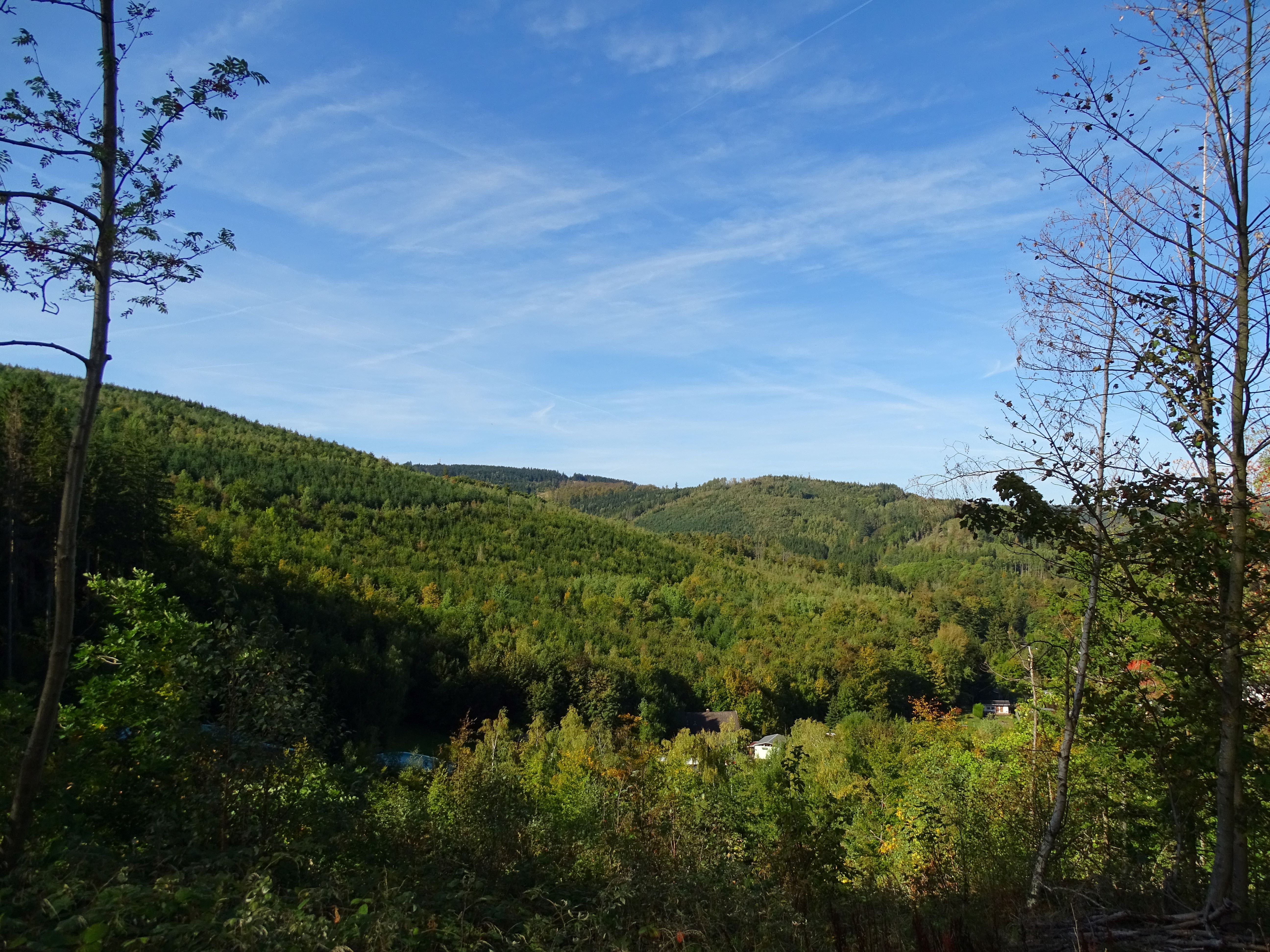 Wanderweg oberhalb Rodelbahn am Floßberg / FH Hoffmann Ilmenau