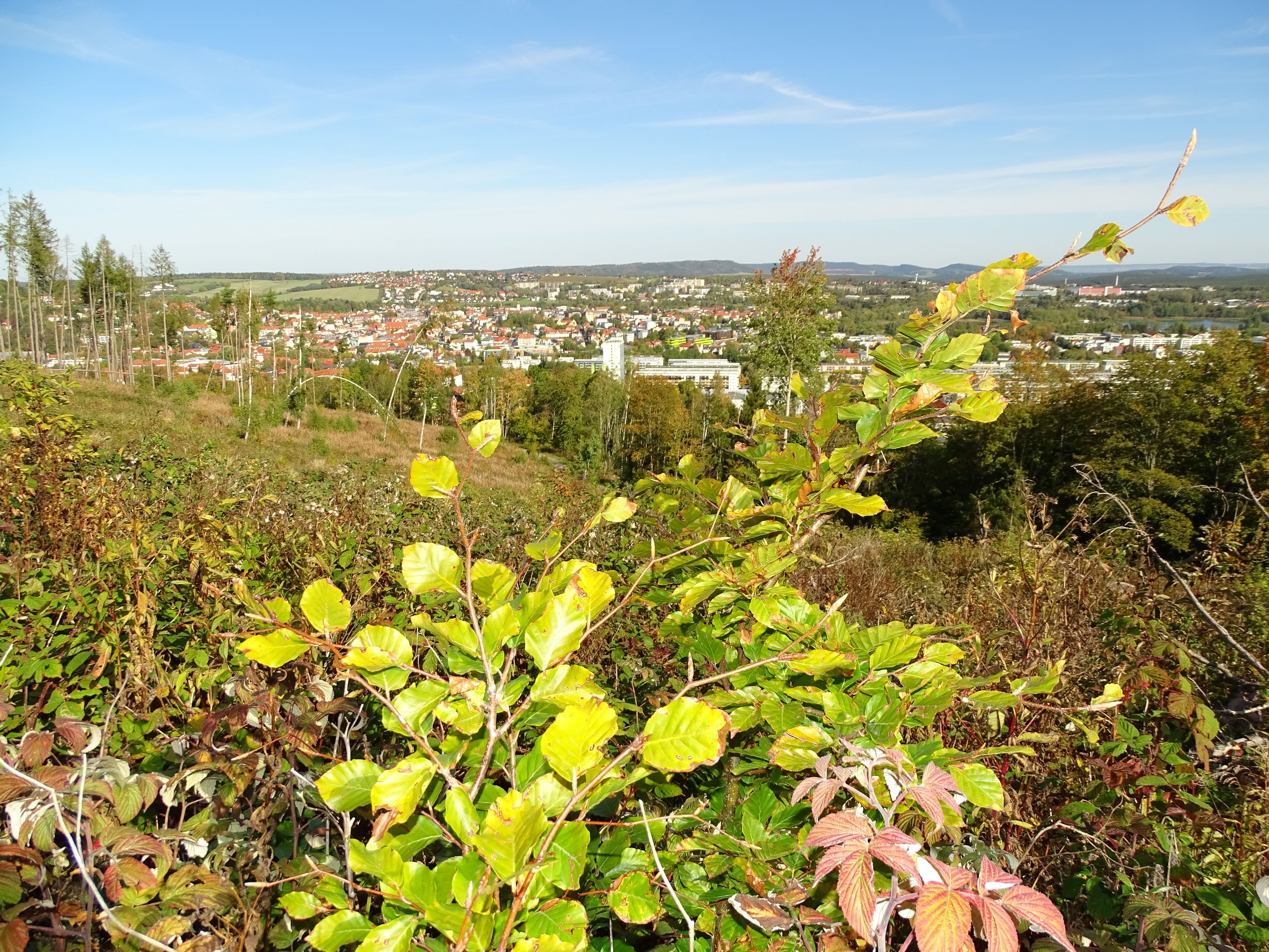 Aussicht auf Ilmenau von der Elizabeth Höhe / FH Hoffmann Ilmenau