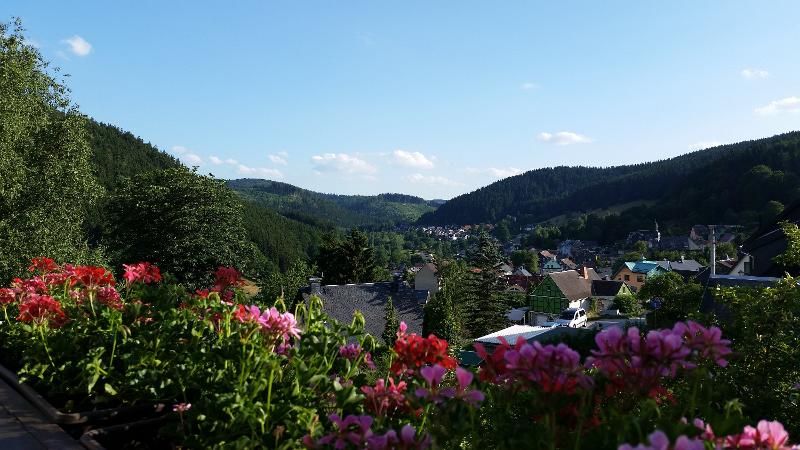 Ausblick vom Ferienhaus