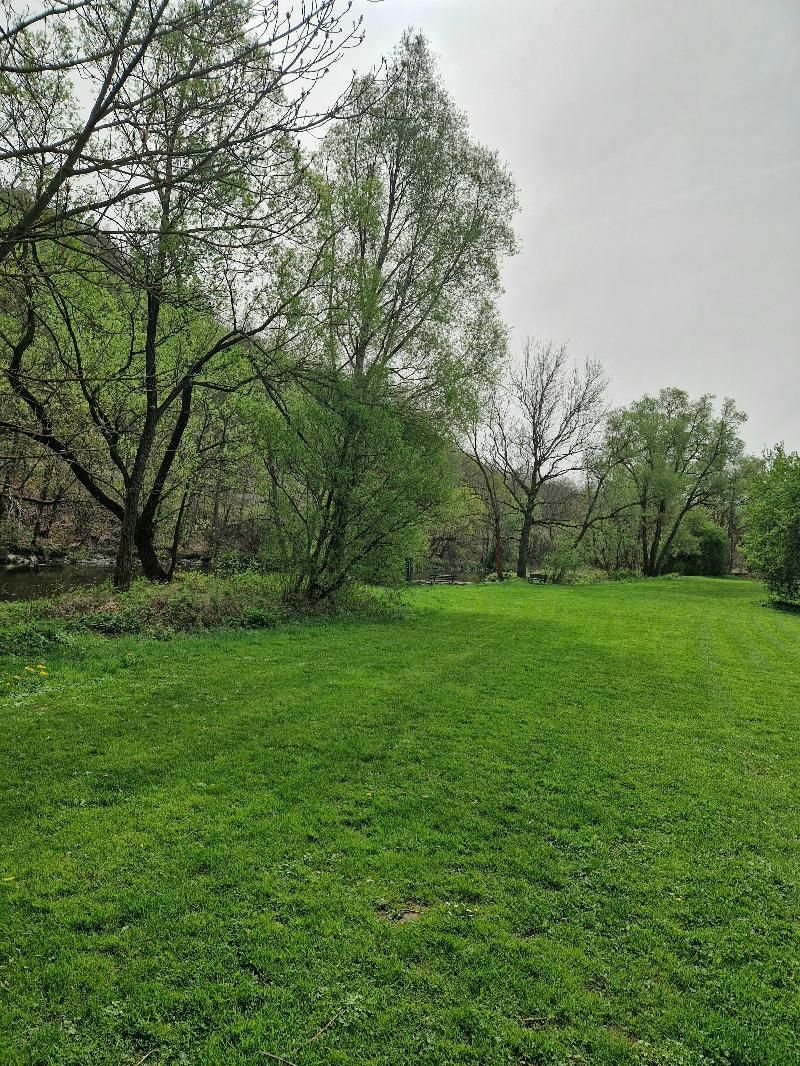 Impressionen - Saaleufer